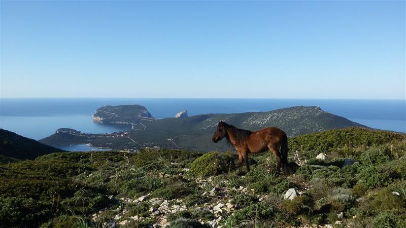 סנטה מריה לה פלמה Rita B&B Sea Sun And Nature מראה חיצוני תמונה